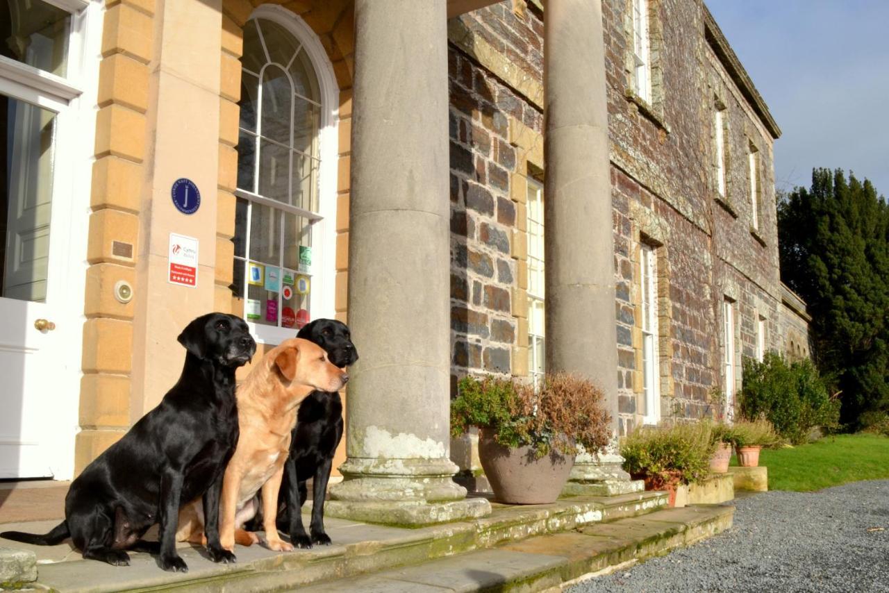 Plas Nanteos Mansion Guest House Aberystwyth Room photo